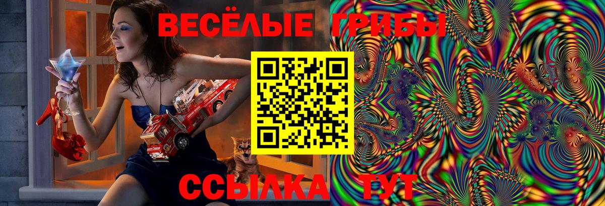 Псилоцибиновые грибы Psilocybe Алексеевка