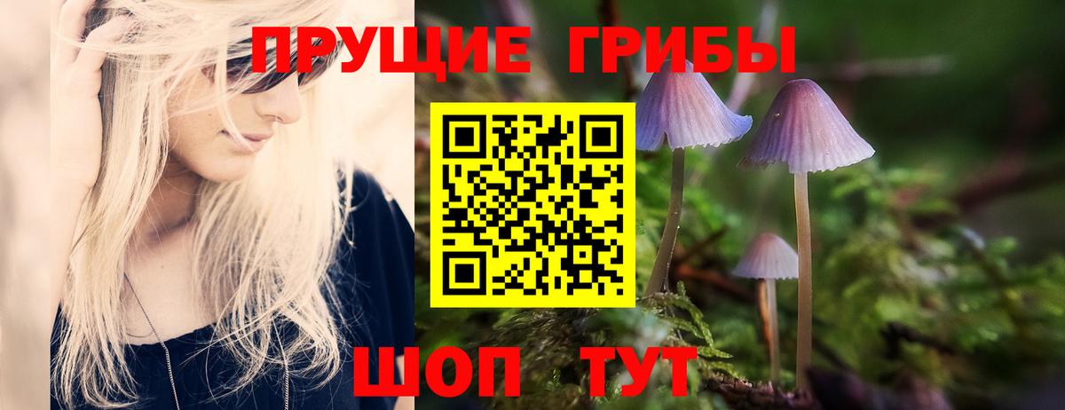 Галлюциногенные грибы Cubensis  Псилоцибиновые грибы ЛСД  Вход с VPN  Алексеевка 